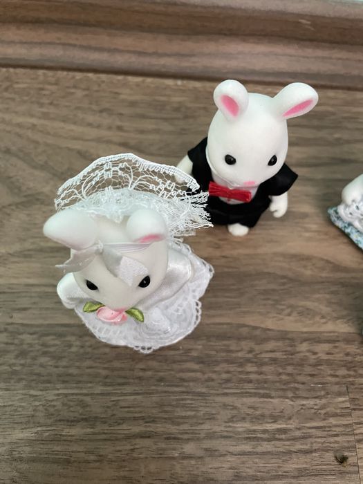 Семейство зайчета