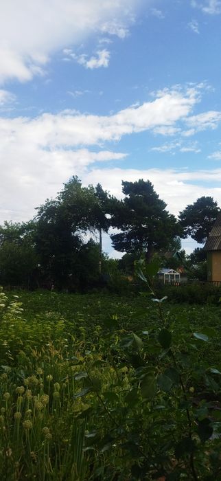 Продам Дачу в Михайловке