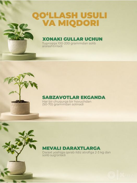 Grafik dizayn, infografika xizmati