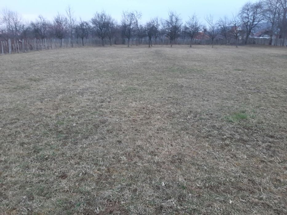 Teren extravilan
