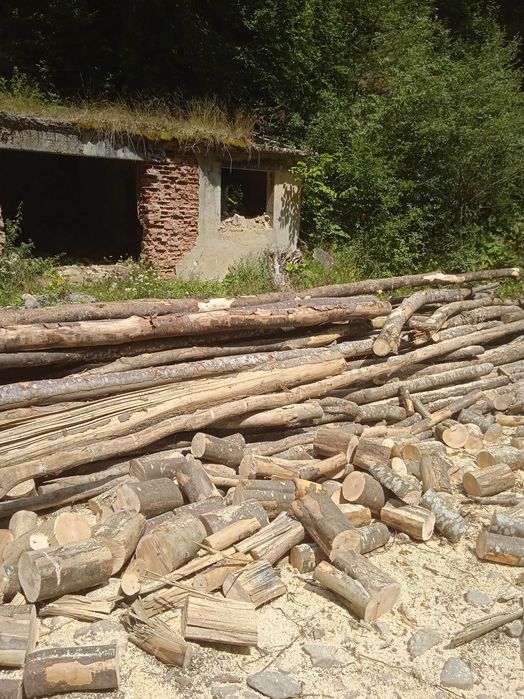 Vând lemne pentru foc