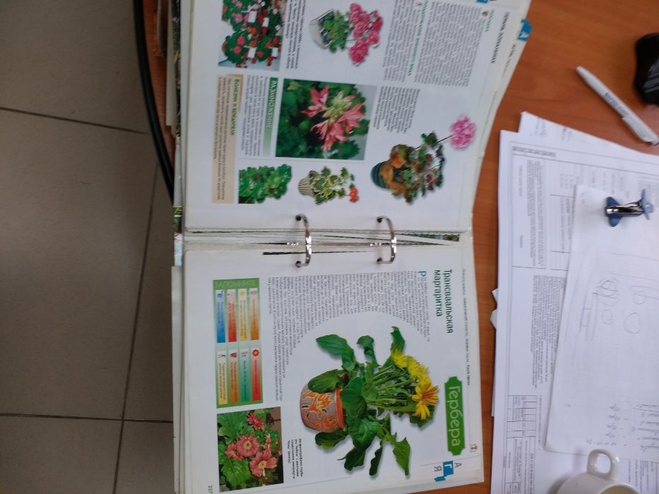 каталог по уходу за цветами
