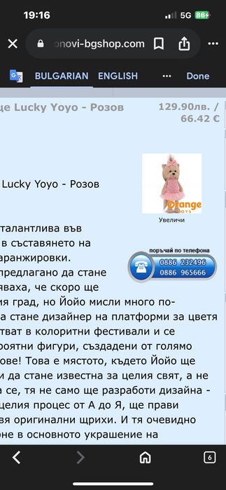Lucky Doggie Yoyo