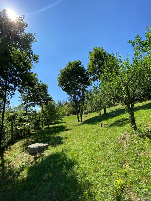 Casa de vacanta la munte - Ojdula