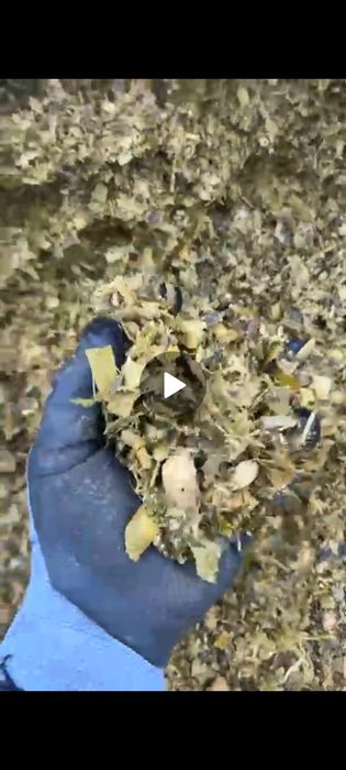 Shimba locatia semi siloz ovăz negru si lucernă