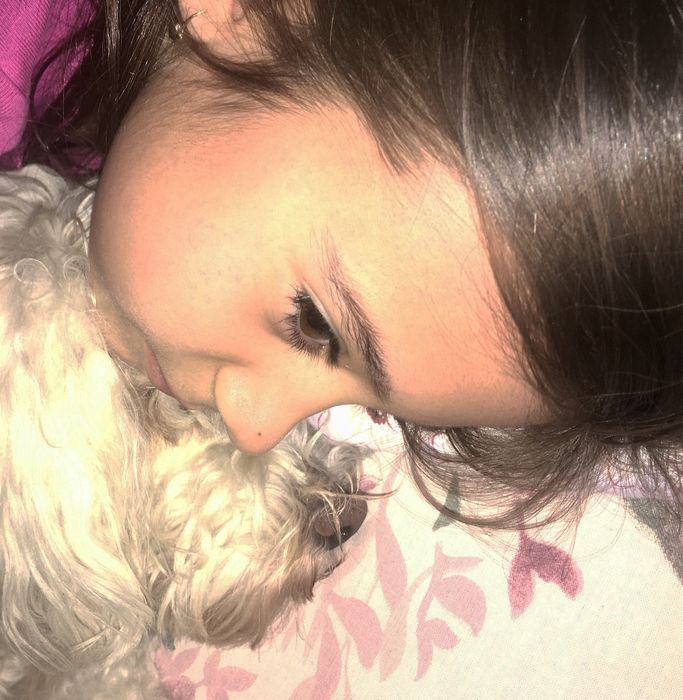 Cazare/pet sitter/ pensiune pentru caini