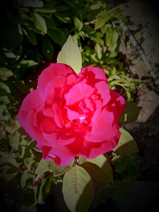 Продава се Къща в Николаево - 95 кв.м за 1264 €/кв.м - Снимка #2