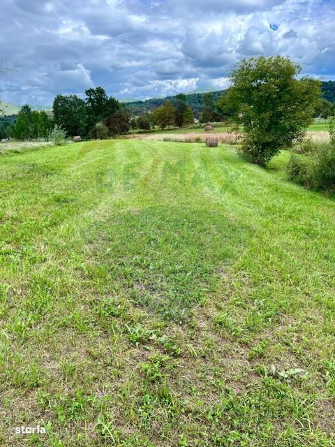 Teren 1,884mp Berbesti / Drumul secundar