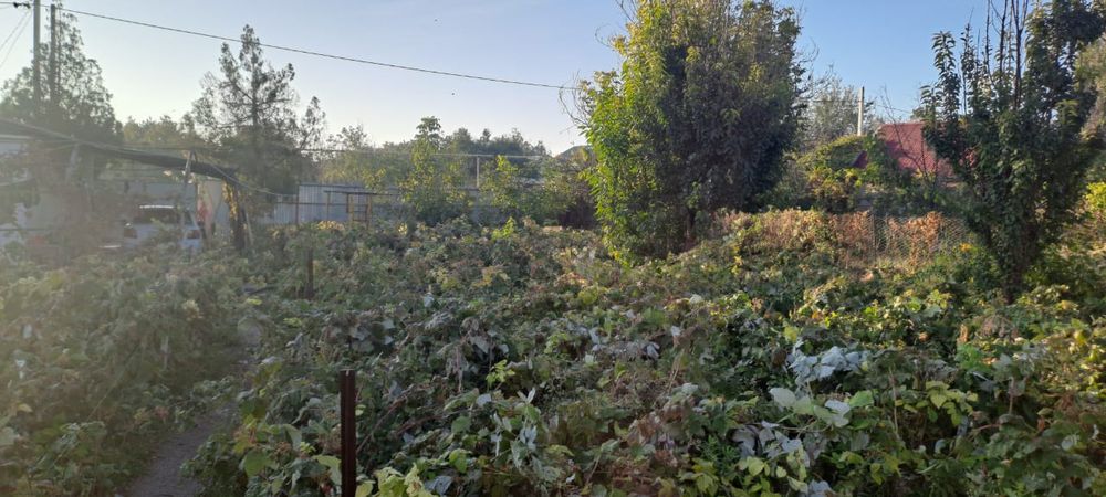 Продам тёплый дом  Шолдала