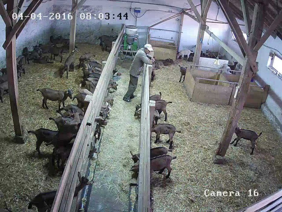 Дава се под наем Склад в с. Студена, Област Хасково - 6000 кв.м за 81600 € - Снимка #3