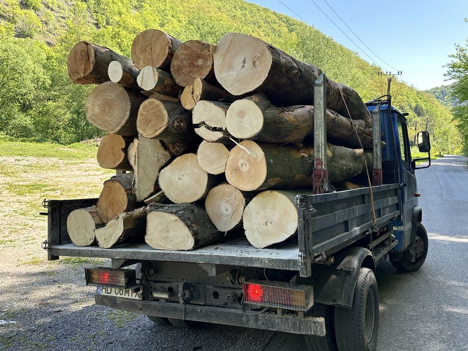 Lemn  LA 3m SAU BOCI