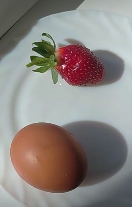 Клубника Сами с Усами