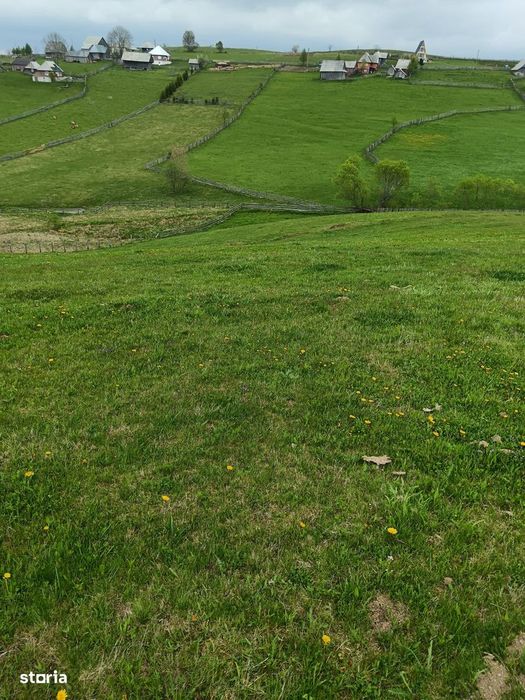 Teren 6000mp Măguri-Răcătău, pârâu, utilități. Schimb Florești