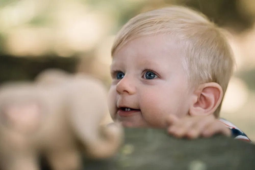 Fotograf / Videograf de Familie