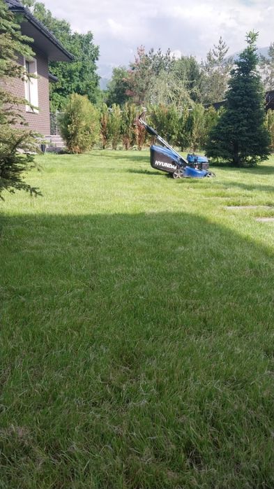 Автополив и посев газона