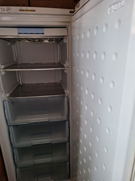 Congelatoare arctic