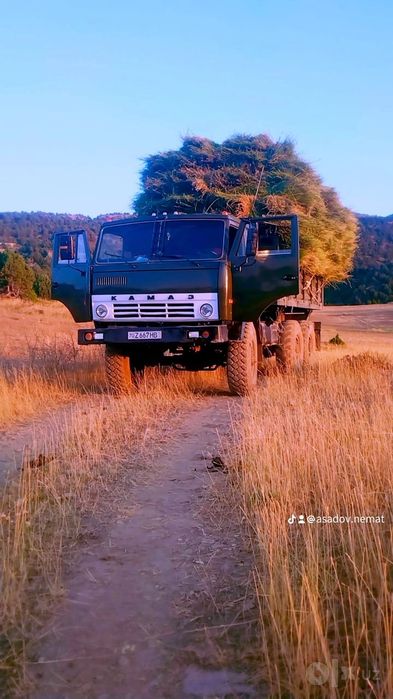 Kamaz 4310 vezduxod