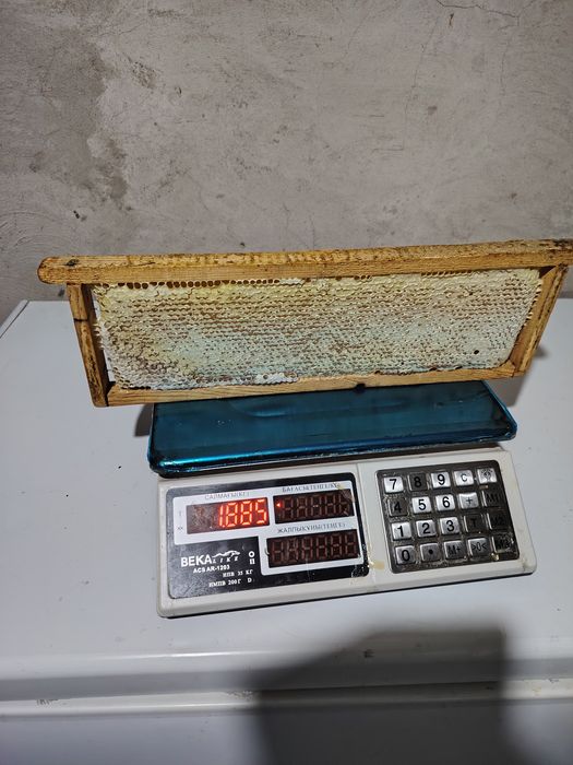Продам мед со своей пасеки.