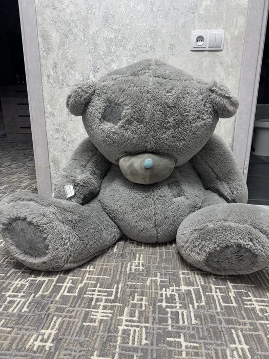 Teddy ayiq. Yengi. Тедди мишка новая. Teddi ayiq.