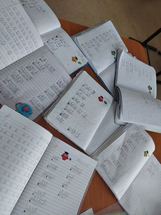 Ofer meditații la limba romana si matematica primar