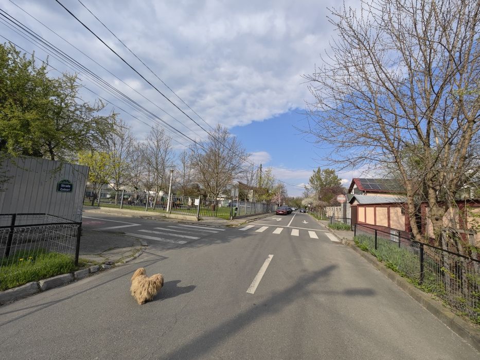 Teren 445 mp Sector 1 Străulești | 12,5m deschidere |Toate utilitățile