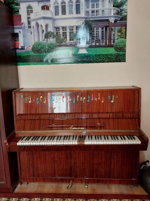 Lastochka pianino sotiladi.