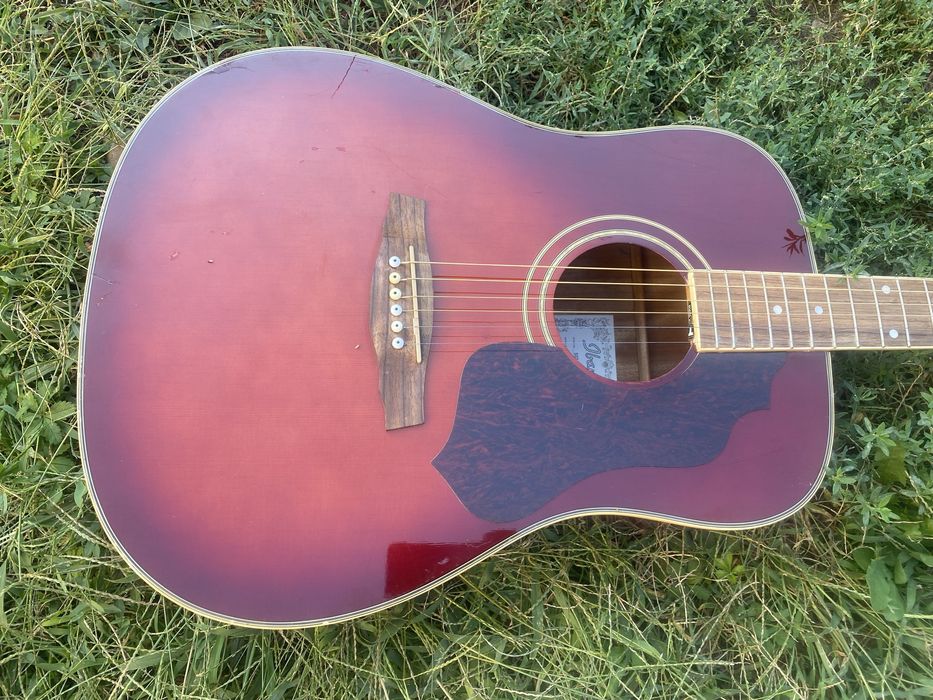 Ibanez SGT120E.