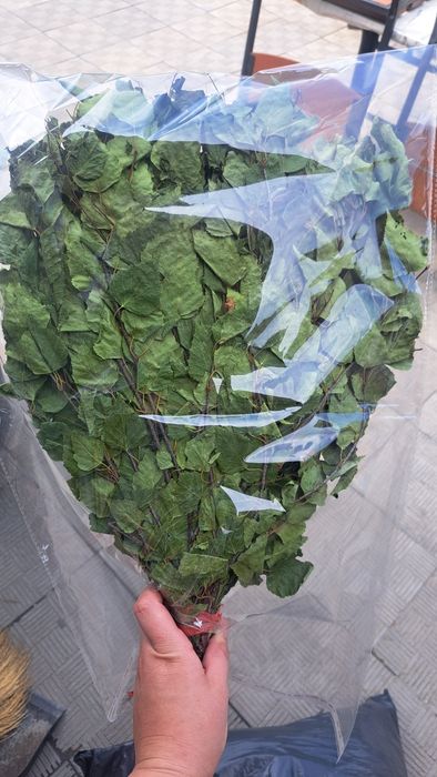 Веники берёзовый