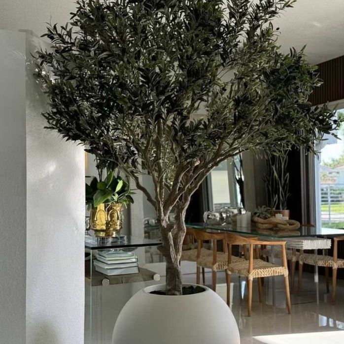 Copaci, Bonsai si Măslini Artificiali