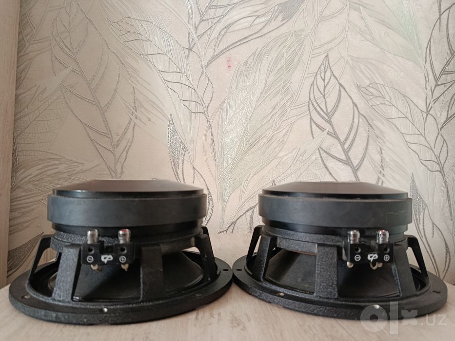 DB Deaf bonse w80