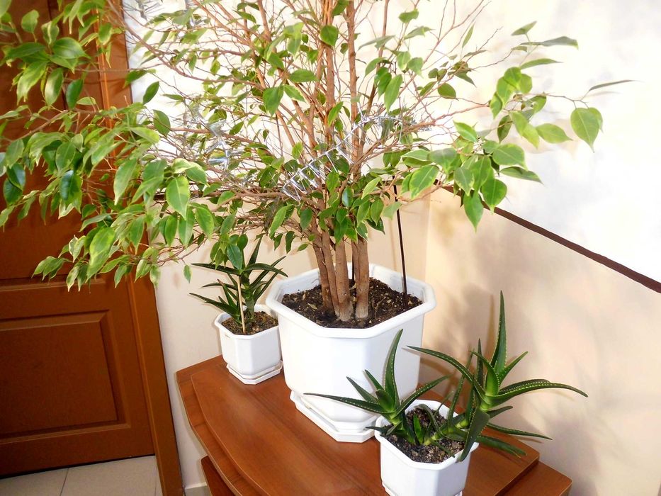 Medion MD 86830 14.0 mPx