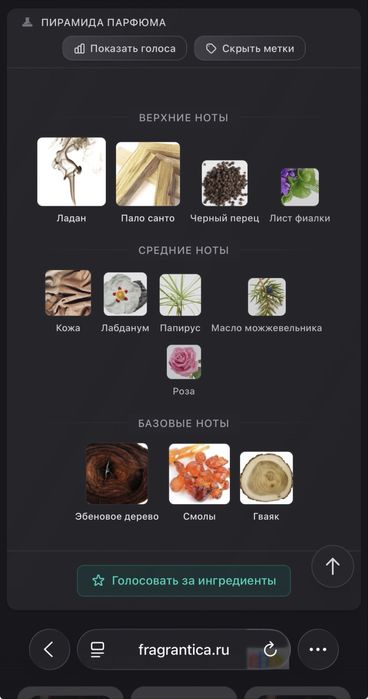 Ebony fume fragrance world