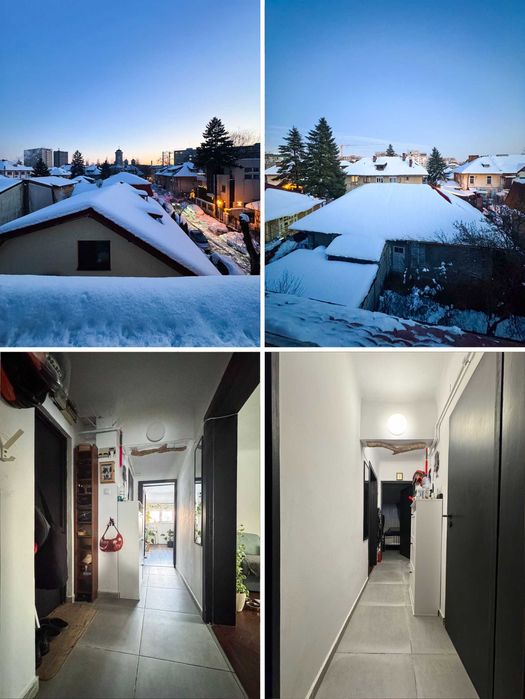 Apartament renovat cu 2 camere in vila cu curte in zona Domenii