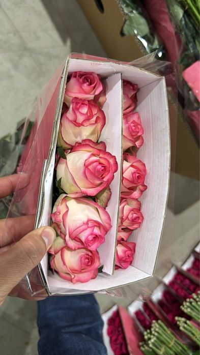 Розы оптом доставка по всему кз