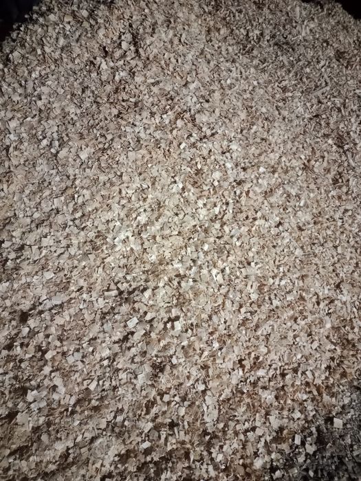 Опилка таза ағаштан.