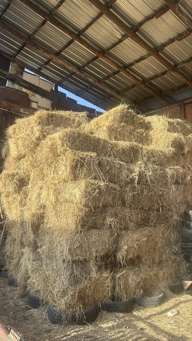 Прес сено шөп рулон