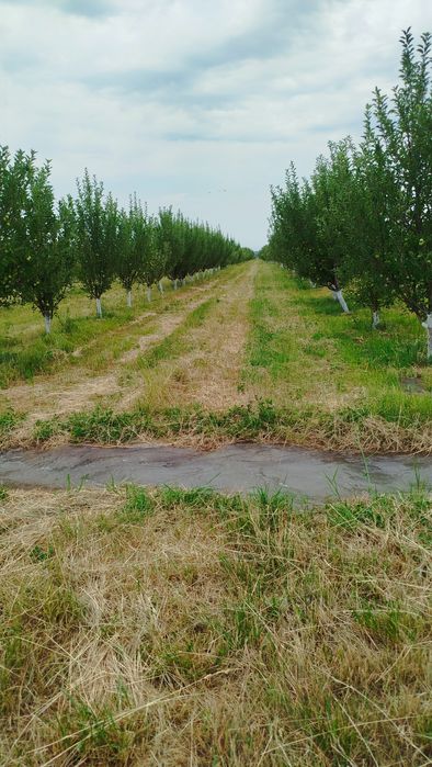 Продам земельный участок