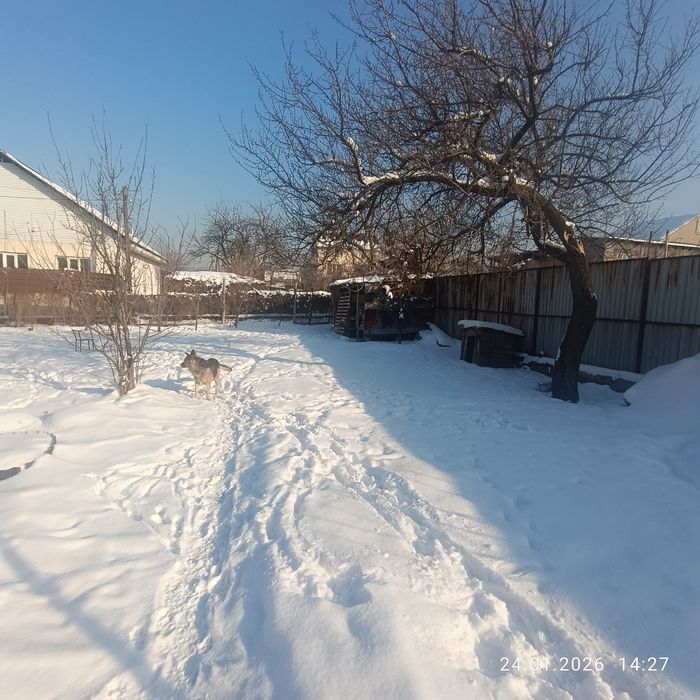 Продам дом дачу 10 соток