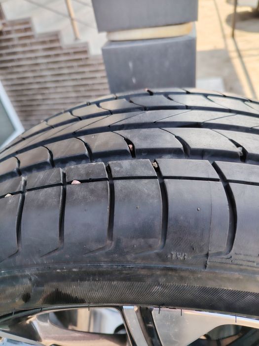 Tracker primier diskasi balonlari bn sotiladi