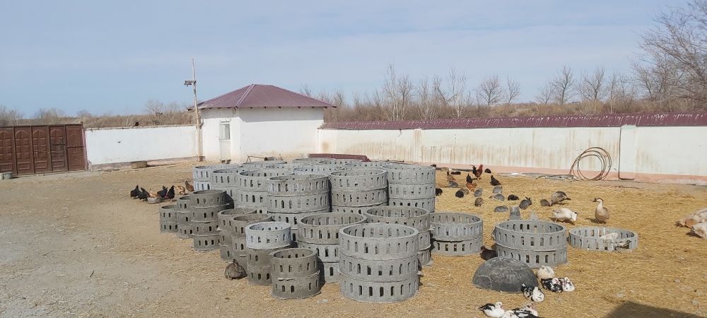 Канализатция учун колодеслар бор оптом хоразм бойлаб доставка бор