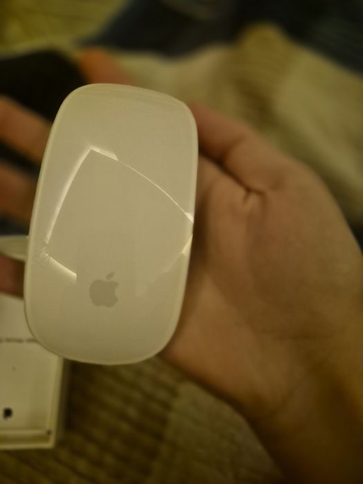 Apple magic mouse 2