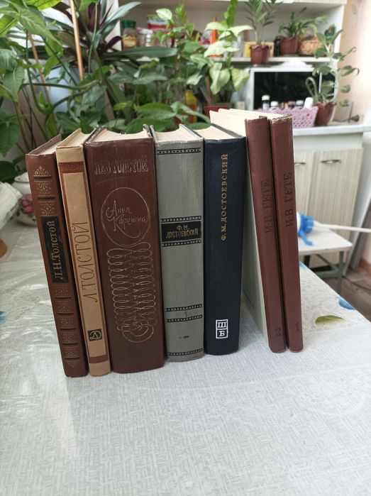 Книги Гёте Достоевский Л. Толстой