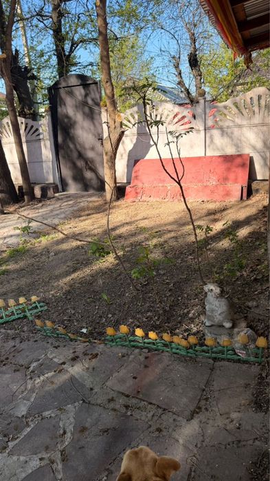 Железная дверь бу