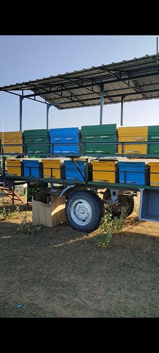 Пчелоприцеп Зил с пчелами