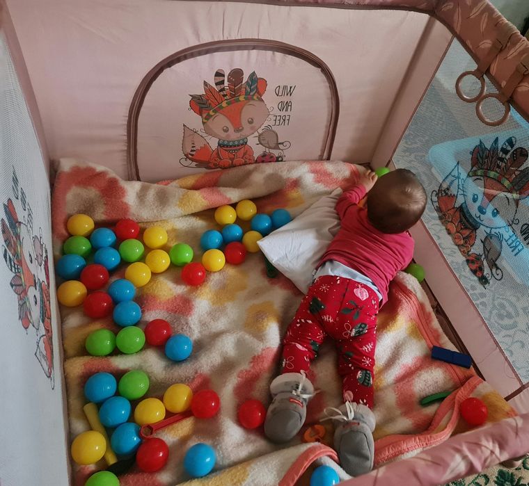 Кошара за игра запазена е