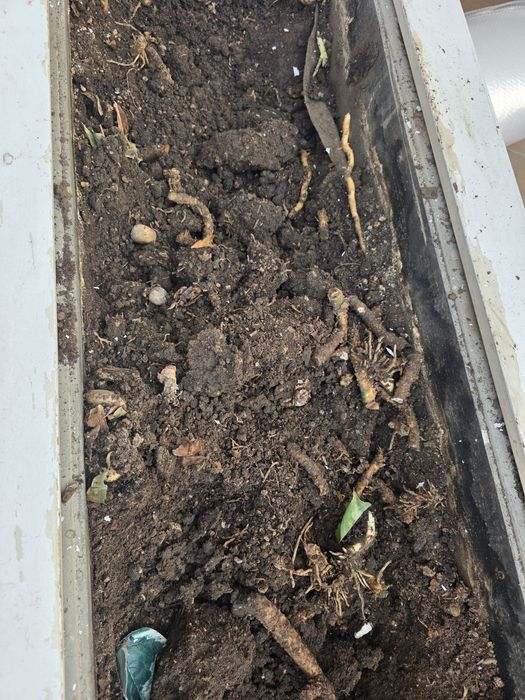 Чернозем в мешках