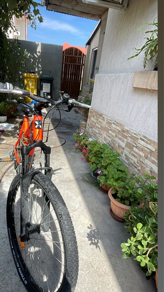 B Twin ROCKRIDER 29" 12-Speed XC Mountain Bike 100 - / Bucuresti ...