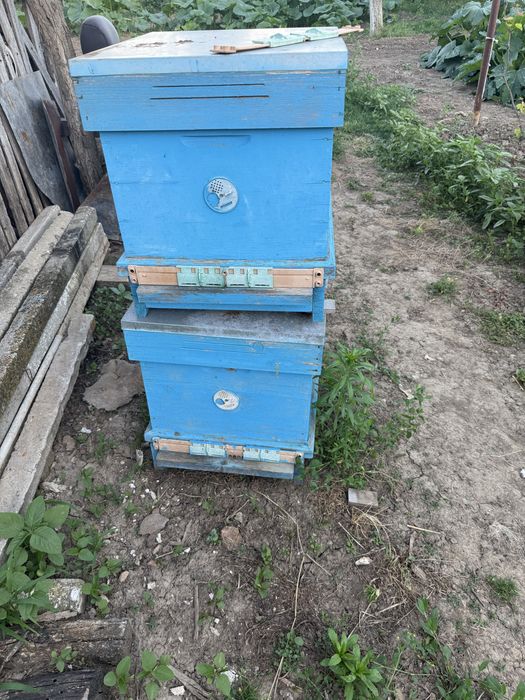 Продавам пчелни кошери и центрофуга за мед