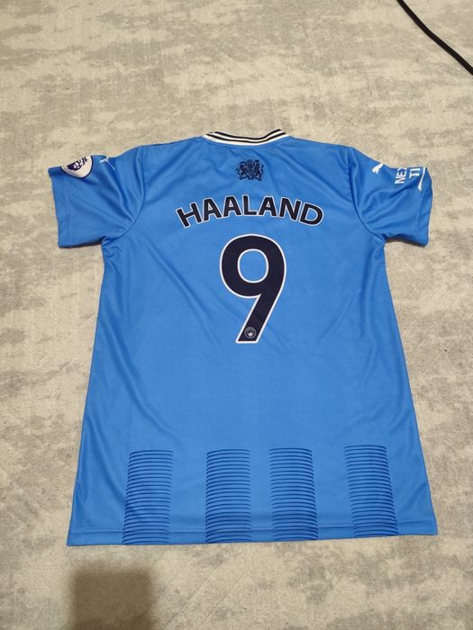 Екип на ерлинг Халанд