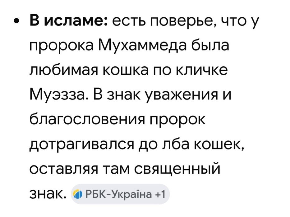 Котенок мальчик красавчик